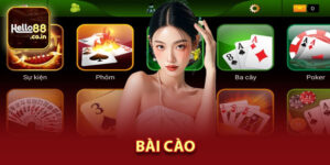 Bài Cào